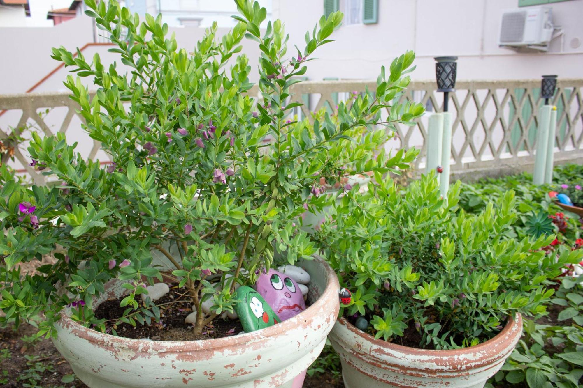 Appartamento La Coccinella Marina Di Pisa Esterno foto